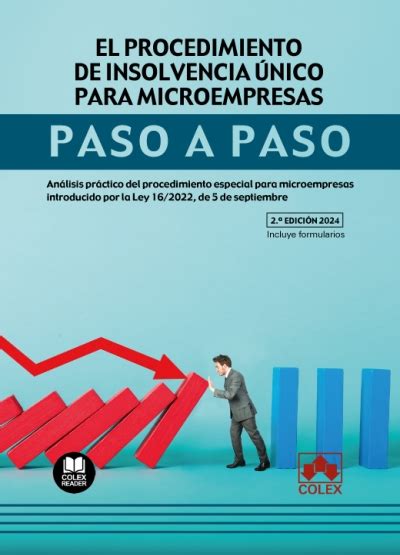 El procedimiento de insolvencia único para microempresas Paso a paso