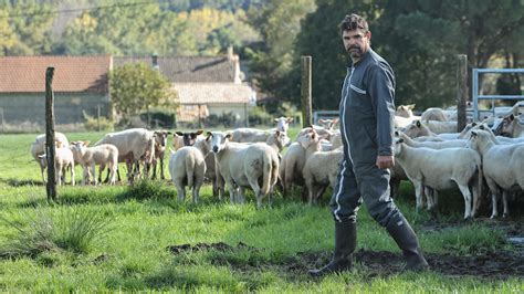 Il va falloir vivre avec le loup La Préfecture de Gironde présente