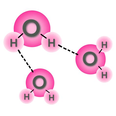 The Water Molecule 12025558 PNG