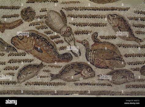 Mosaico De Peces Romanos Fotograf As E Im Genes De Alta Resoluci N Alamy