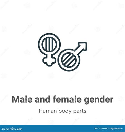 Ícone Do Vetor Do Contorno Dos Símbolos De Gênero Masculino E Feminino