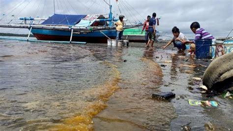 Ini Fakta Fakta Solar Tumpah Di Laut Parepare