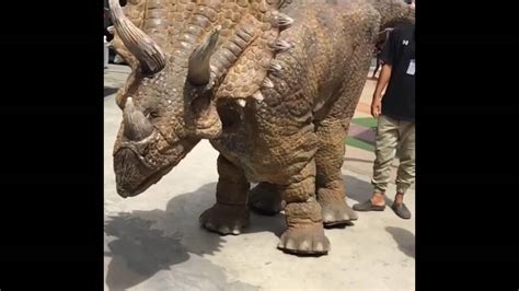 Four Legs Walking Dinosaur Constume Triceratops Youtube