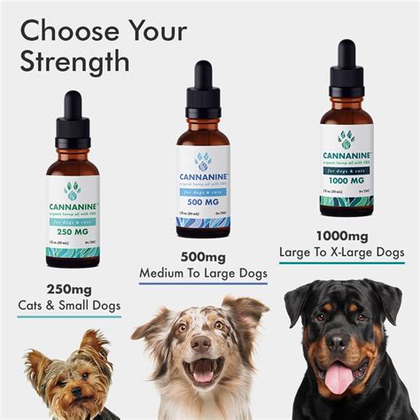 Cannanine™ Ultra Premium Full Spectrum Hemp Cbd Oil For Dogs 1000 Mg