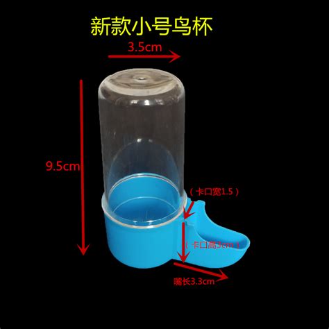 Купить Сгущаться Крапивник брат восемь брат птица себя шаг питьевой ...