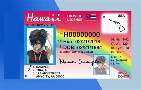 Driver S License Template Fully Editable Psd Templates