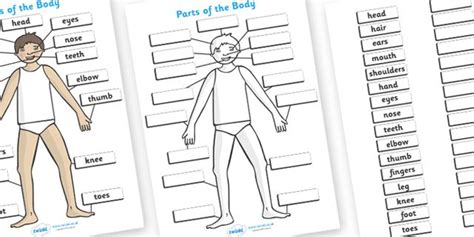 Twinkl Resources Parts Of The Body A4 Thousands Of Printable Primary Teaching Resources