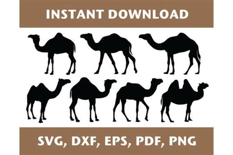 Camel Template Set Graphic By Justgreatprintables · Creative Fabrica