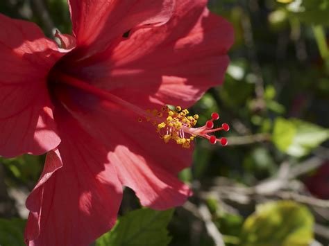 Panasonic Lumix G7 Hands-On Sample Photos | ePHOTOzine