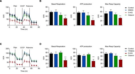 α Ketoglutarate inhibits autophagy Figure f3 Aging