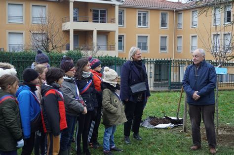 Genay Des arbres de la solidarité pour aider des personnes en difficulté