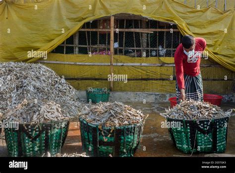 Bangladesh Chittagong Dry Fish Field On Karnaphuli River Bank