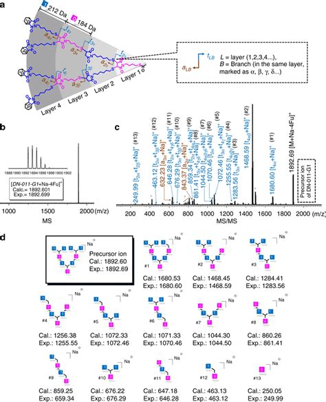 Msms Decoding Digital Dendrimer Dn 011 G1 A Illustration Of The