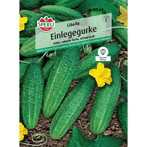 Sperli Einlegegurke Libelle F1 Hybride Cucumis Sativus Kaufen Bei Obi