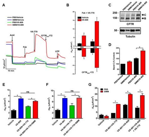 Inflammation Enhances The Efficacy Of Cftr Modulator Therapy