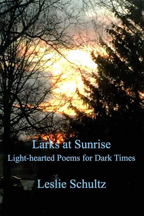 Poems With Light And Dark Imagery Shelly Lighting