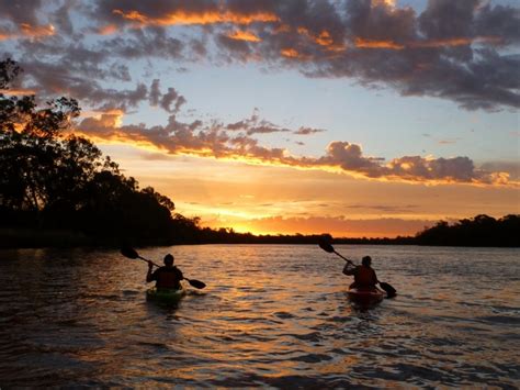 Sunset Kayak Or Canoe Tours In The Riverland South Australia