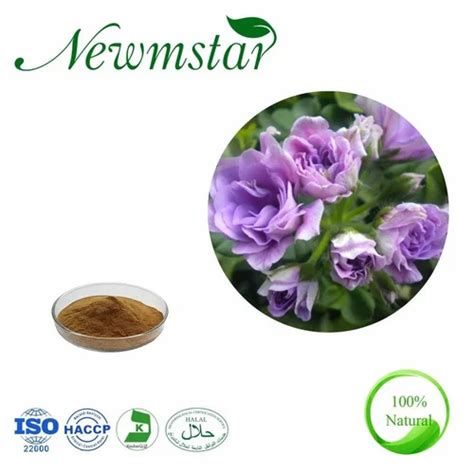 Geranium Extract Powder For Pharma At Rs 1700 Kg In Ahmedabad ID