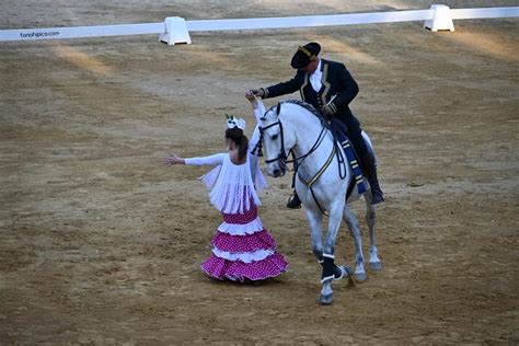 El Concejal De Agricultura Valora La III Feria Agroganadera EQUUS De