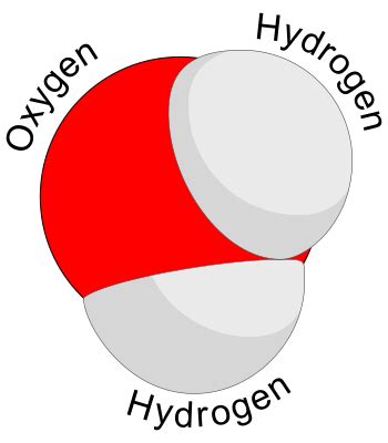 Cohesion in Water | Definition, Properties & Examples - Video & Lesson ...