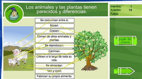 Cómo Interactúan Las Plantas Y Los Animales