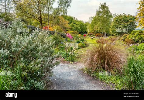 Summer Garden at the The Garden House, Yelverton, Devon, England Stock ...