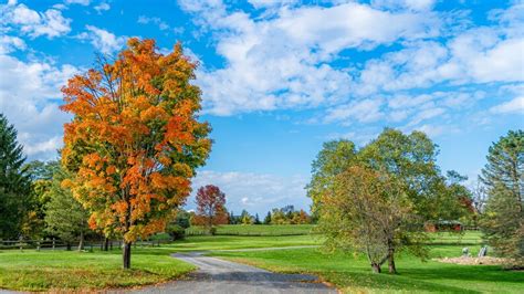 Beautiful Fall Autumn Scenery Digital Download - Etsy