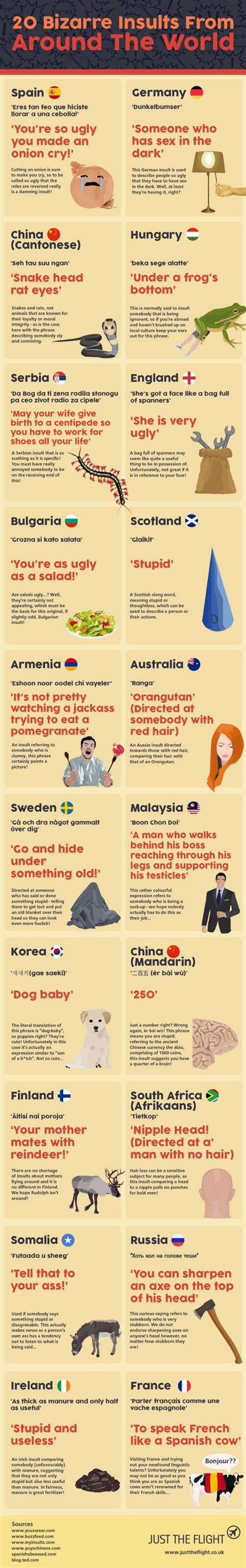 Bizarre Insults From Around The World Infographic Laptrinhx