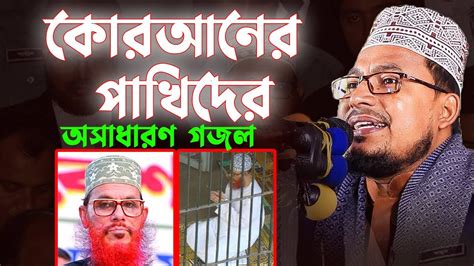 কোরআনের পাখিদের নিয়ে অসাধারণ গজল। কবির বিন সামাদ নতুন গজল ২০২৩।kabir