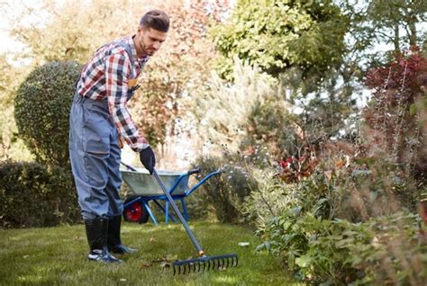 Beneficios Del Mantenimiento De Jardines Para Tu Comunidad