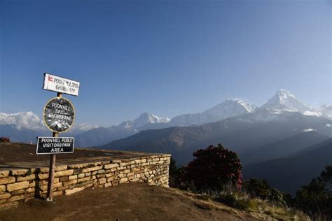 Ghorepani Poon Hill Ghandruk Trek With Guide GetYourGuide