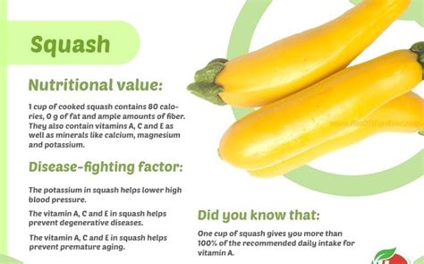 Amazing Health Benefits Of Squash - Yabibo