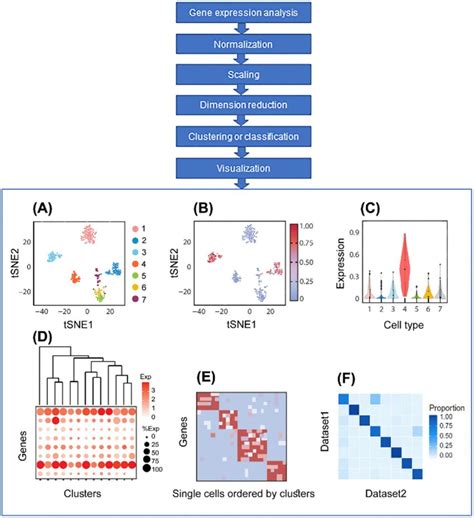 Analysis Pipeline And Visualizing Scrna Seq Snrna Seq Results A