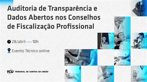 Auditoria de Transparência e Dados Abertos nos Conselhos de