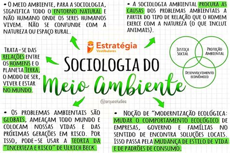 Meio Ambiente Sociologia Mapa Mental Conjuntos Num Ricos