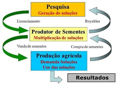 Produção de sementes