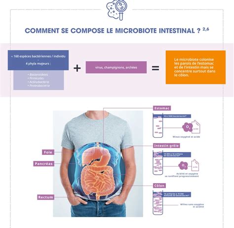 Microbiote intestinal un rôle clé pour nous protéger