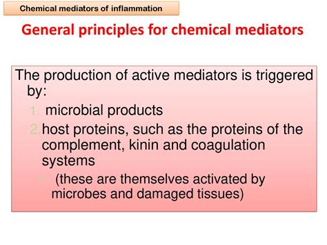 Inflammation And Repair Lecture 4 Ppt Download