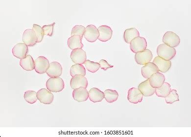 Inscription Sex By Petals Roses On Stock Photo Shutterstock