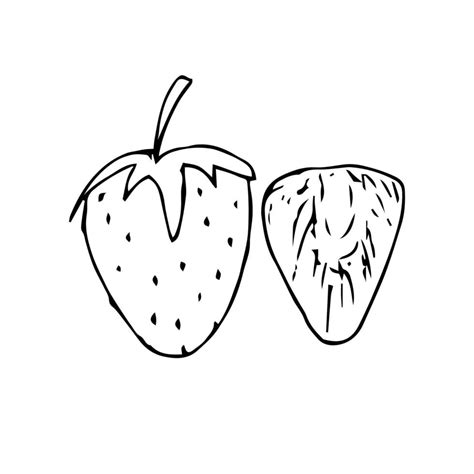 Strawberry Hand Drawn Strawberry Vector Illustration For Design With