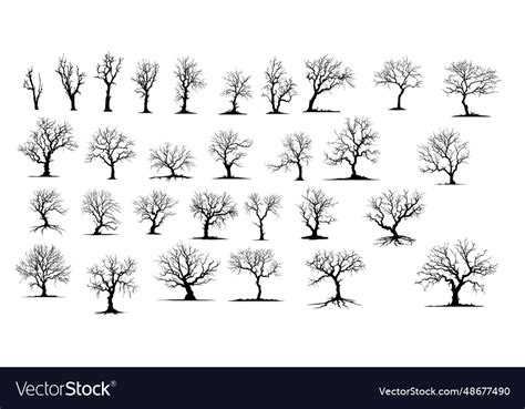 Dead Trees Naked Silhouettes Winter Royalty Free Vector
