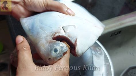 রূপচাঁদা মাছ কাটা এবং পরিষ্কার করার সহজ পদ্ধতিpomfret Fish Fry In My