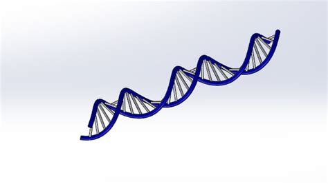 DNA Strand 3D Model $45 - .sldpr .unknown .wrl .stl .ige - Free3D