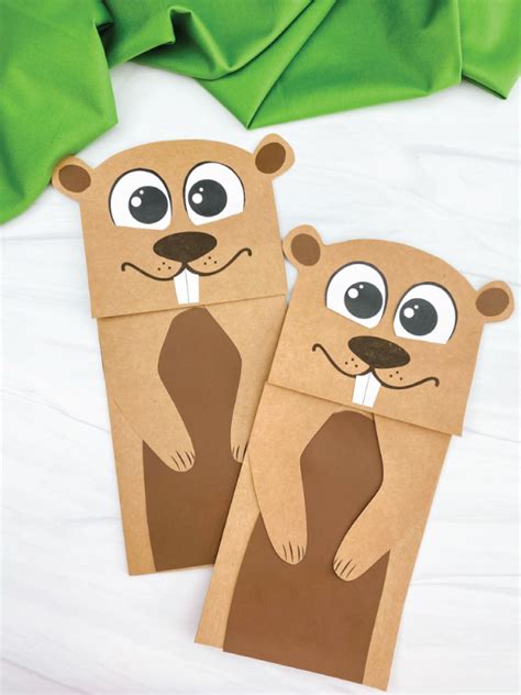 Groundhog Day Wrapping Paper