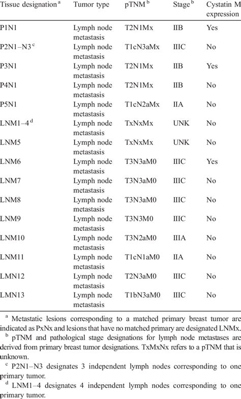 Characteristics Of Human Lymph Node Metastases Download Scientific Diagram