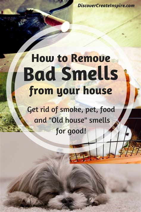 Remove Odors In Your House For Good House Cleaning Tips Cleaning