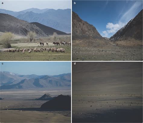 Typical Landscapes Found In The Bayan Olgii Province With Valley