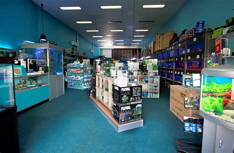 Aquarium Shop Near Me The Best Pet Fish Store Near You Open Now