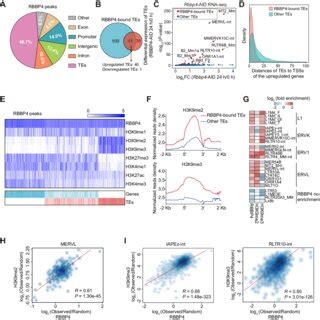 Model Of Rbbp Dependent Heterochromatin Assembly And Pluripotency To