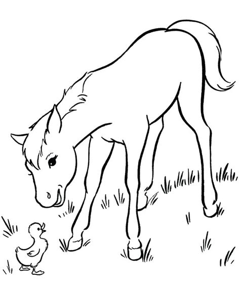 Foal Coloring Pages at GetColorings.com | Free printable colorings pages to print and color